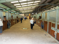 CH290522-105 - Charlie Hills Stable Visit